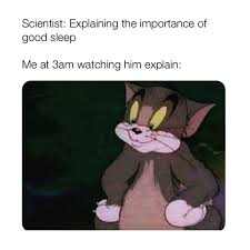 Sleep Meme In 2020 Really Funny Memes Funny Relatable Memes Stupid Funny Memes