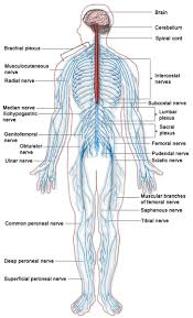 In order to navigate out of this carousel please use your heading shortcut key to navigate to the next or previous heading. Back And Spine Complete Pain Care Helping You Return To You