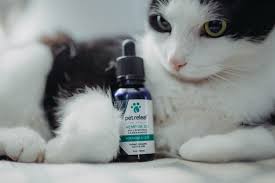 Maybe you would like to learn more about one of these? Pet Relief Cbd Pure Relief Pet Hemp Oil 600mg