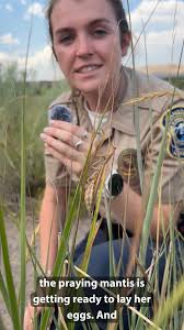 Bear Creek Lake Park, City of Lakewood