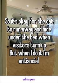 So It S Okay For The Cat To Run Away And Hide Under The Bed When Visitors Turn Up But When I Do It I M Antisocial Funny Quotes Humor Funny Pictures