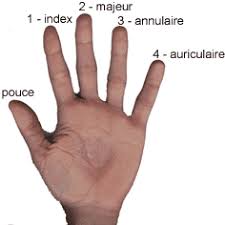 Quelle bague pour des gros doigts ? Vos Bagues Et Votre Caractere Bijouterie En Ligne