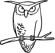We did not find results for: Free Printable Owl Coloring Pages For Kids
