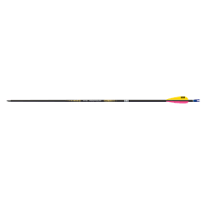 Easton X10 Protour Fletched Arrows Dozen Clickers Archery