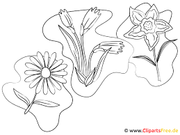 Immagine mandala da colorare e da stampare a forma di fiore con petali grandi. Fiori Da Colorare E Stampare
