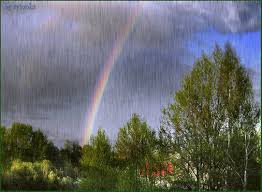 Resultado de imagem para ARCO IRIS NA CHUVA