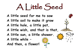 Themed Poems Ks1 Seeds And Plants Kindergarten Poems Preschool Poems Kids Poems