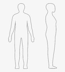 Allow the lines to diverge from one another, forming the shoulders. Person Outline Free Download Clip Art On Human Free Transparent Png Download Pngkey