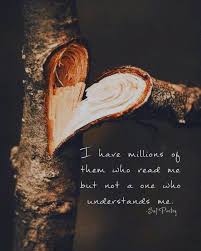 Poems And Quotes On Instagram Irony Like Comment Share Tag Follow Poetsofinstagram Poem In 2020 Reality Quotes Karma Quotes Heart Quotes Feelings