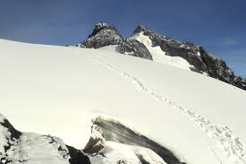 Detailed topographic maps of the central rwenzori from the 1:25,000 scale special hiking sheet, A Thrilling 10 Day Safari To Hiking Mountain Rwenzori In Uganda