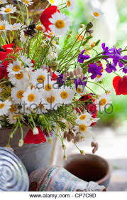 Parcourez notre sélection de bleuets marguerites : Jardin De Fleurs Sauvages Marguerite Coquelicot Bleuet Domaine Des Marguerites Coquelicots Champ De Bleuets Photo Stock Alamy