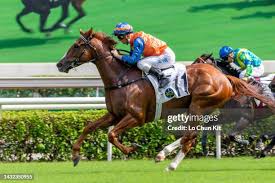 Image result for Handic 189