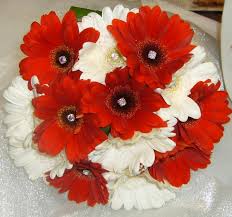 Blue gerbera daisies for weddings are shipped overnight to you farm direct. Red Rose And Gerbera Daisy Bouquet