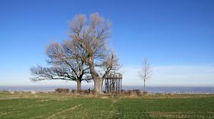 Discover everything you need to know about babisnauer pappel—a hiking attraction recommended by 264 people on komoot—and browse 241 photos & 14 insider tips. Babisnauer Pappel Altersgruppe 45 Bis 60 Jahre Landhaus Lockwitzgrund Dresden 23 May 2021