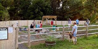 Maybe you would like to learn more about one of these? Top Five On Friday Dog Parks Of The Hudson Valley Daily Dose