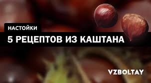 Nastojka Kashtana 5 Receptov V Domashnih Usloviyah