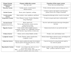 human organ systems chart 1000 images about body system on