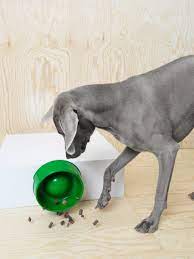 Stuffed animal, recommended for children 12 months and older. Ikea Launches First Range Of Furniture For Cats And Dogs