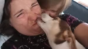 David Vilardo's Instagram, Twitter & Facebook