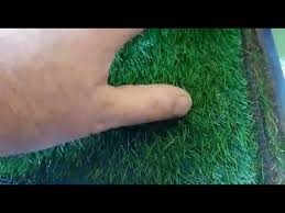 ☕hemen araştırmaya başladık ve @bauhausturkiye de aradığımızı bulduk. Cim Hali Yapay Cim Hali Cim Cit Peyzaj Dekoratif Cim Youtube