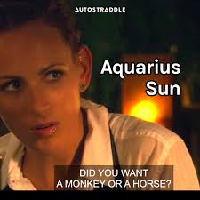 Your "The L Word" Sun