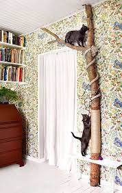 Cat Toys Amazing Diy Cat Home Decor Ideas Catsdiytoy Cat House Diy Cool Cat Toys Diy Cat Toys