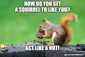 Sometimes you feel like a nut / sometimes you don't / almond joy's got nuts / mounds don't / almond joy's got rich milk chocolate / coconut and honey nuts too. Sometimes You Feel Like A Nut Imgflip
