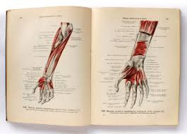 Soviet 1948 Medicine Textbook Atlas Of Human Anatomy Etsy Textbook Human Anatomy Vintage Books