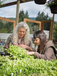Log House Plants Culinary Breeding