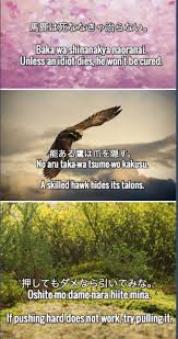 Lerne Japanische Sprichworter Japan Language Languagelearning Education Education Japan Japanis Japanische Phrasen Japanisch Lernen Japanische Sprache