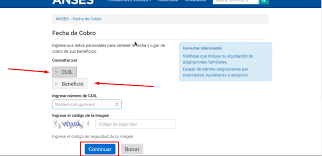 Con este código vas a poder registrar tu tarjeta para poder acceder a descuentos de hasta. Anses Cuando Cobro Guia Completa De Consultas Web