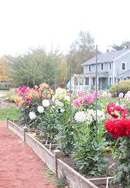 Order flowers online 24 hours a day, 7 send your flowers with a florist you can trust! Our Visit To Elizabeth Park Rose Garden In Hartford Connecticut Glitter Inc