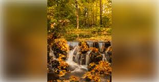 Obituary information for Jason M. Flowers