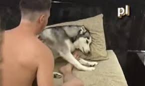 Theo đó, cơ sở lưu trú là. Phim Sex Thu Trai Tráº» Ä'á»‹t Cho Cai Phim Sex Hay