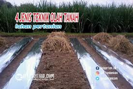 Tanah yang cocok untuk tanaman padi. 4 Jenis Teknik Olah Tanah Pertanian