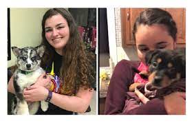 Complete list of store locations and store hours in all states. Brick Puppy Store Protest Planned By Animal Activists Brick Nj Patch