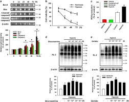 Vis de iubire episodul 18 online subtitrat gratis. Glycerol 3 Phosphate Acyltransferase 1 Upregulation By O Glcnacylation Of Sp1 Protects Against Hypoxia Induced Mouse Embryonic Stem Cell Apoptosis Via Mtor Activation Cell Death Disease