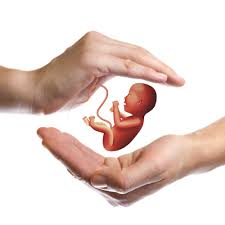 In vitro fertilization) بأنَّه سلسلة من الإجراءات. Ø§Ù„ØªÙ„Ù‚ÙŠØ­ Ø§Ù„ØµÙ†Ø§Ø¹ÙŠ Ù…ØªÙ‰ ÙŠØ¬Ø¨ Ø£Ù† ÙŠØ­Ø¯Ø« ÙˆÙ„Ù…Ø§Ø°Ø§ Ù…Ø¬Ù„Ø© Ø³ÙŠØ¯ØªÙŠ