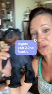 Indestructible Dog Toy Teddy Bear