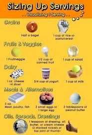 Serving Sizes Jpg 504 741 Nutrition Guidelines Serving Size Guide Nutrition Tips