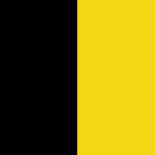 Assassin's creed, black flag and ubisoft, and the ubisoft logo are trademarks of ubisoft entertainment in get the game & the season pass now for the chance to play as edward's first mate, who will take you even deeper into the real explosive events of the golden age of pirates. Vex Ed A Contest For A New Pittsburgh City Flag Pittsburgh Orbit