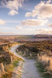 weg durch das naturschutzgebiet morsum kliff sylt poster christian muringer ohmyprints country roads poster country