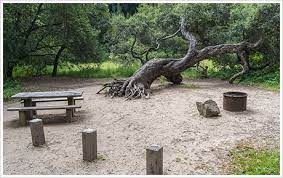 Located on a cliff facing the pacific ocean, hyatt carmel highlands offers charming accommodation among pine groves. Pfeiffer Big Sur State Park Camping