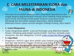Upaya mencegah, melindungi flora dan fauna akan dibahas lengkap pada materi pelajaran geografi sebagai berikut ini. Flora Dan Fauna Persebaran Flora Dan Fauna Di Indonesia Kelas Iv Oleh Siti Halimatus Sakdiyah Ppt Download