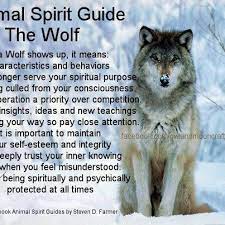 Spirit Guide Wolf Wolf Spirit Animal Spirit Guides Wolf Spirit Animal