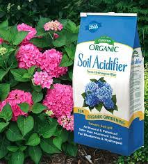 Maybe you would like to learn more about one of these? Espoma Soil Acidifier Will Turn Your Pink Hydrangea Flowers To Blue Bigleaf Hydrangea Hydrangea Pink Hydrangea
