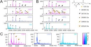 We did not find results for: Effects Of Non Ionic And Zwitterionic Detergents On Soluble Proteins During Native Mass Spectrometry Experiments Sciencedirect