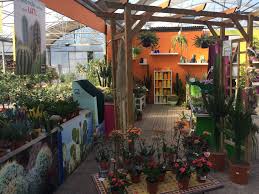 Les Jardins De Saint Andre 34 Jardins Jardinerie Environnement