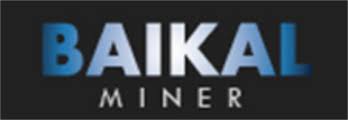 6 delivery within 7 working days after receiving payment. Baikal Bk N Profitability Asic Miner Value