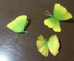 イチョウがチョウチョに大変身 秋の季節にやってみたい葉っぱ遊び おたくま経済新聞